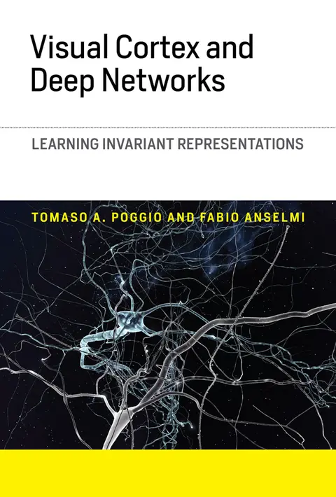 Cover of Visual Cortex and Deep Networks