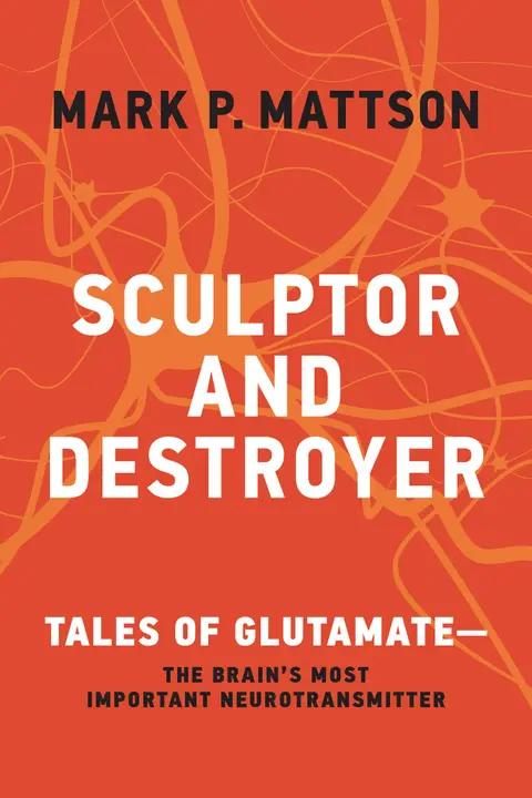 Cover of Sculptor and Destroyer