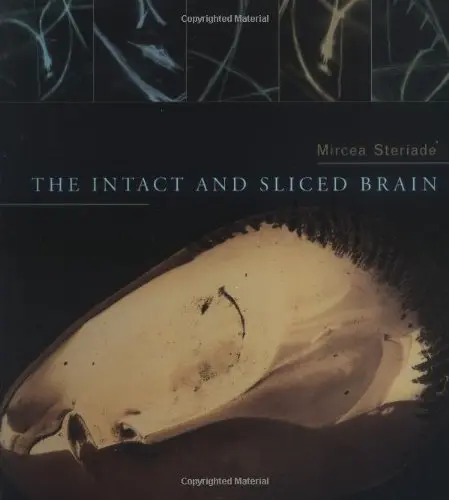 Cover of The Intact & Sliced Brain