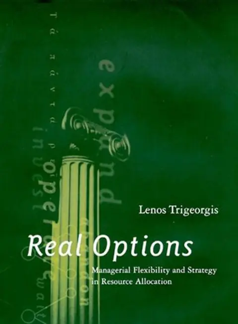 Cover of Real Options – Managerial Flexibility & Strategy in Resource Allocation