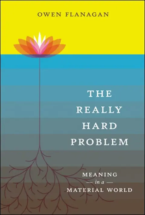 Cover of The Really Hard Problem