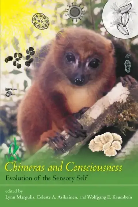 Cover of Chimeras and Consciousness