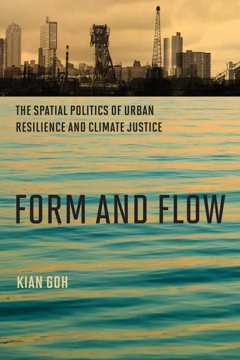 Cover of Form and Flow