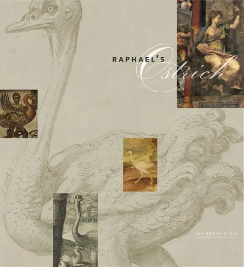 Cover of Raphael's Ostrich