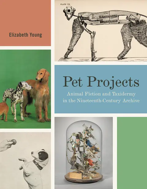 Cover of Pet Projects