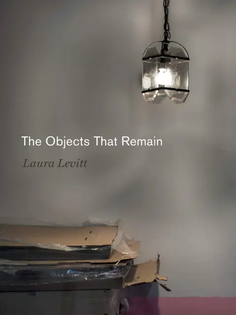 Cover of The Objects That Remain