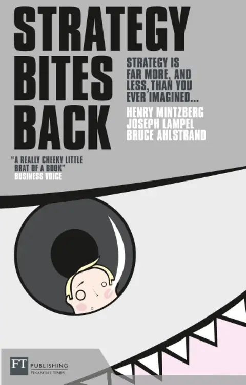 Cover of Strategy Bites Back