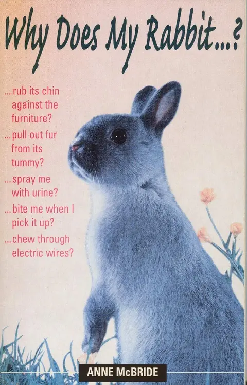 Cover of Why Does My Rabbit...?