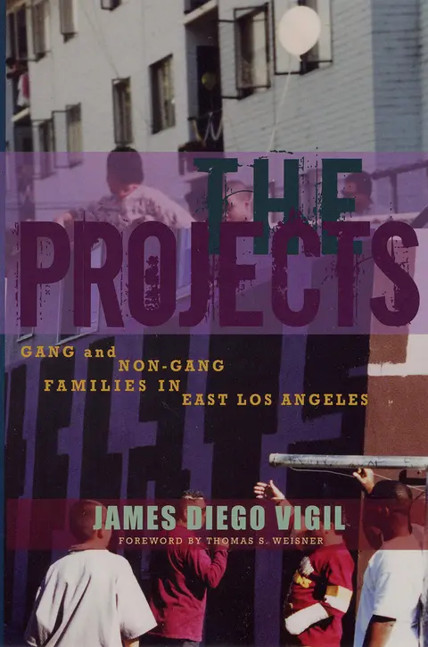 Cover of The Projects