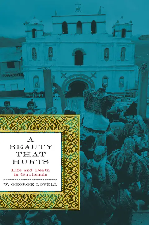 Cover of A Beauty That Hurts