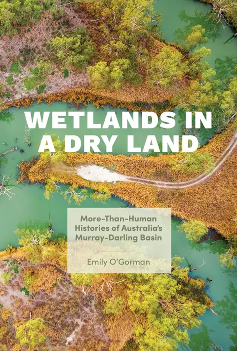 Cover of Wetlands in a Dry Land