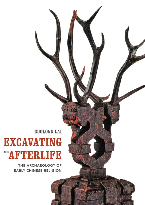 Cover of Excavating the Afterlife