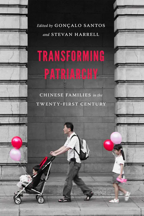 Cover of Transforming Patriarchy