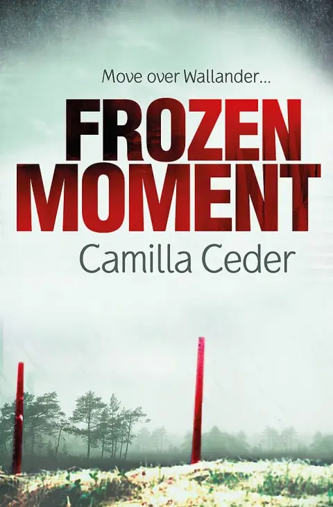 Cover of Frozen Moment