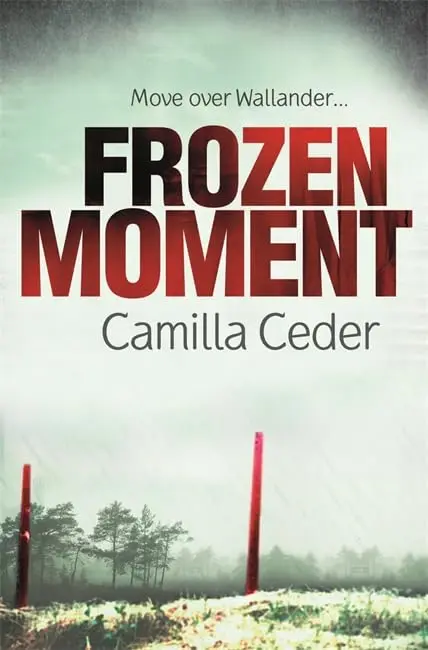 Cover of Frozen Moment