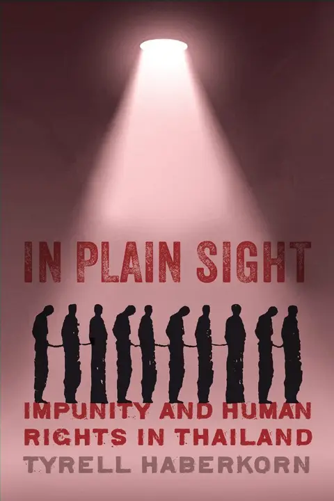 Cover of In Plain Sight