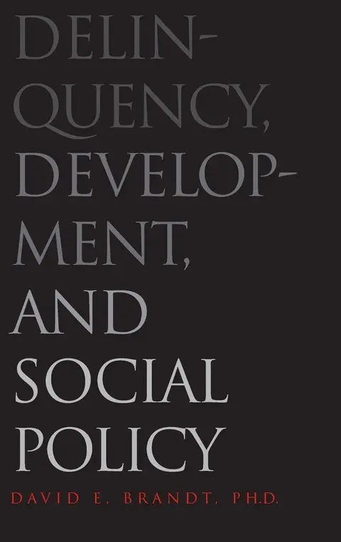 Cover of Delinquency, Development, and Social Policy