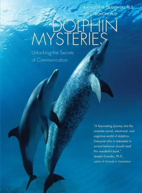 Cover of Dolphin Mysteries