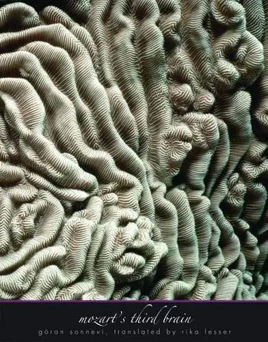 Cover of Mozart′s Third Brain