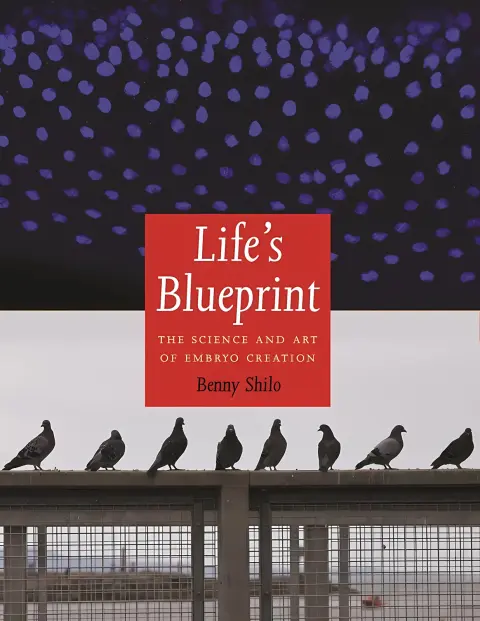 Cover of Life's Blueprint