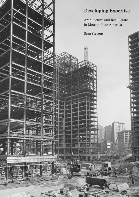 Cover of Developing Expertise