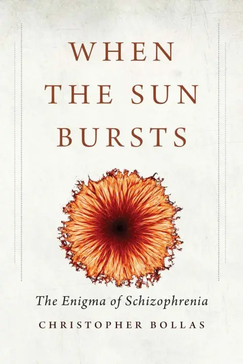Cover of When the Sun Bursts