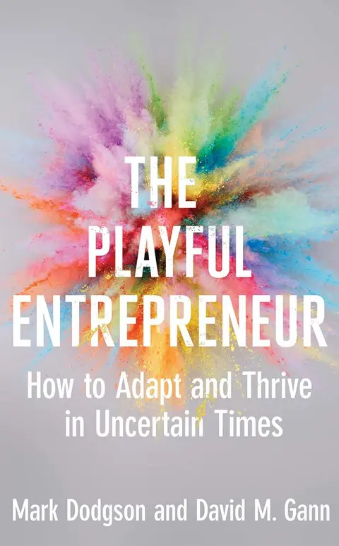 Cover of The Playful Entrepreneur