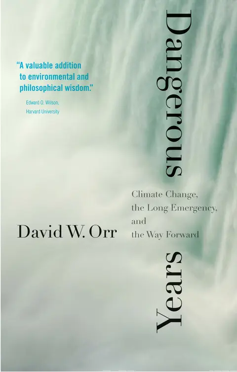 Cover of Dangerous Years