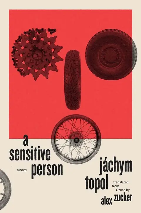 Cover of Sensitive Person