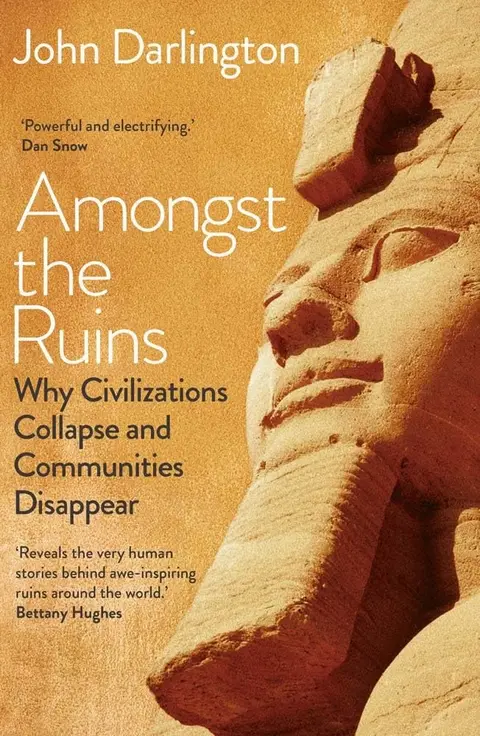 Cover of Amongst the Ruins