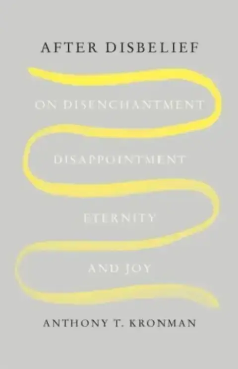 Cover of After Disbelief