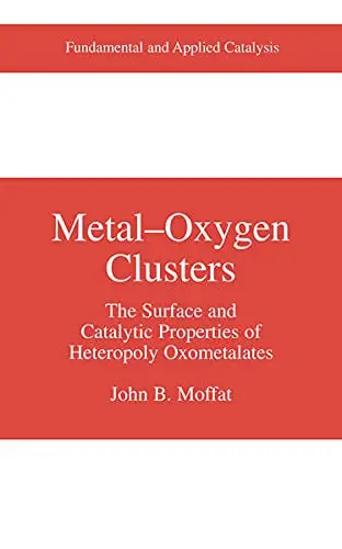 Cover of Metal-Oxygen Clusters
