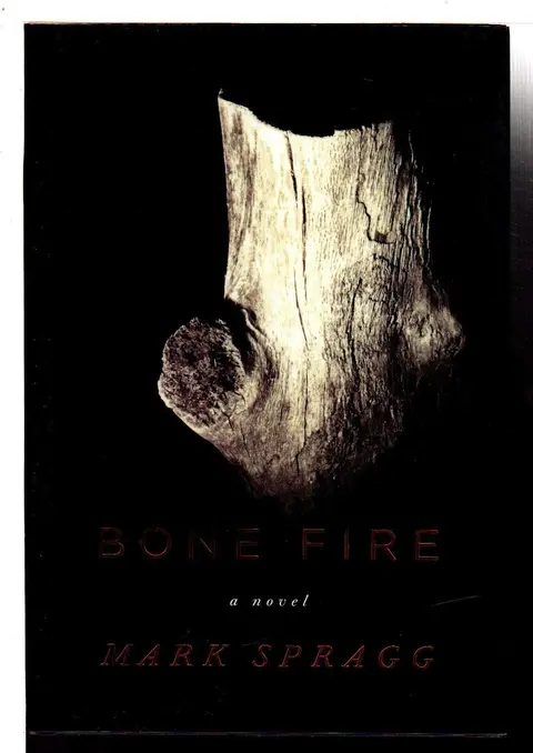 Cover of Bone Fire