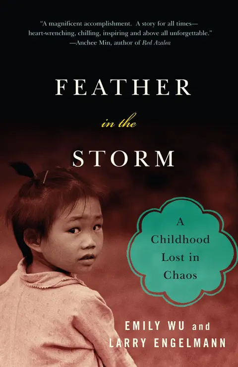 Cover of Feather in the Storm