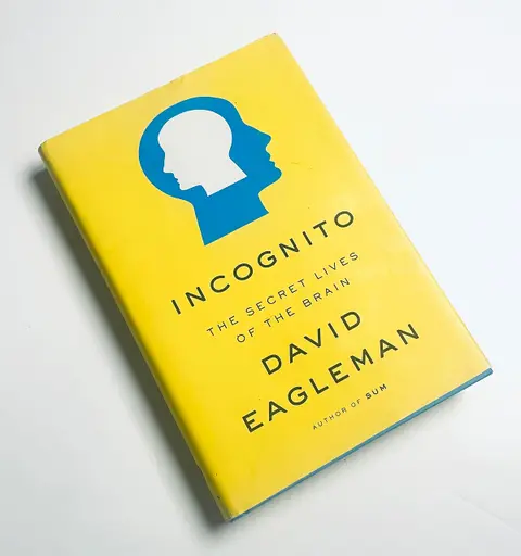 Cover of Incognito