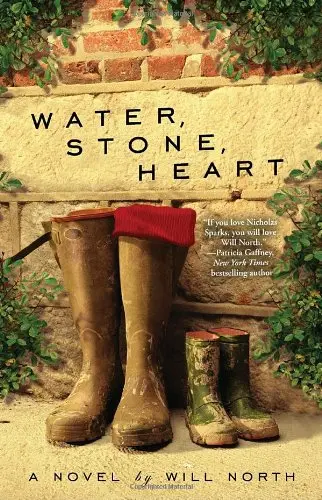 Cover of Water, Stone, Heart