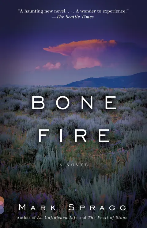 Cover of Bone Fire