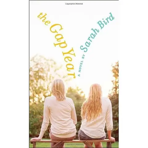 Cover of The Gap Year