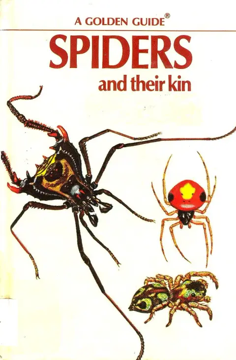 Cover of Spiders and Their Kin