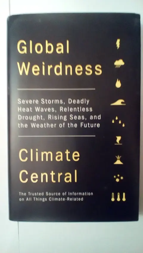 Cover of Global Weirdness