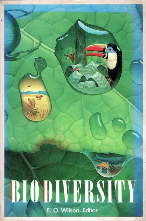 Cover of Wilson