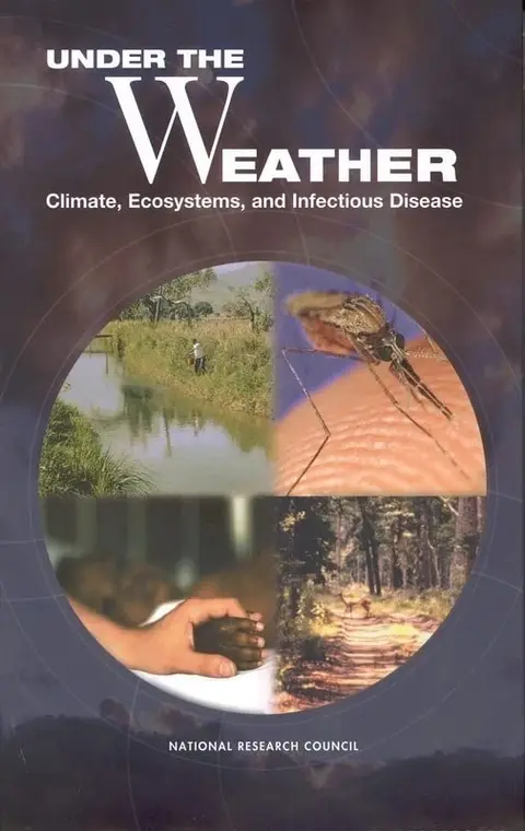Cover of Under the Weather