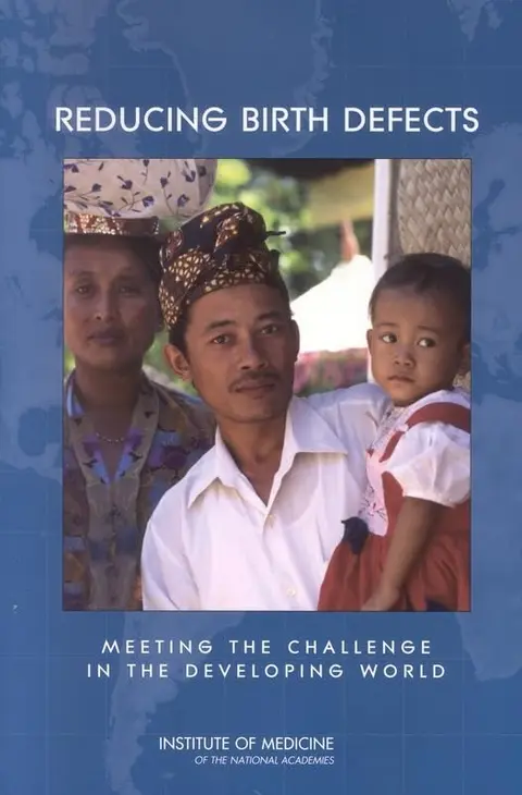 Cover of Reducing Birth Defects