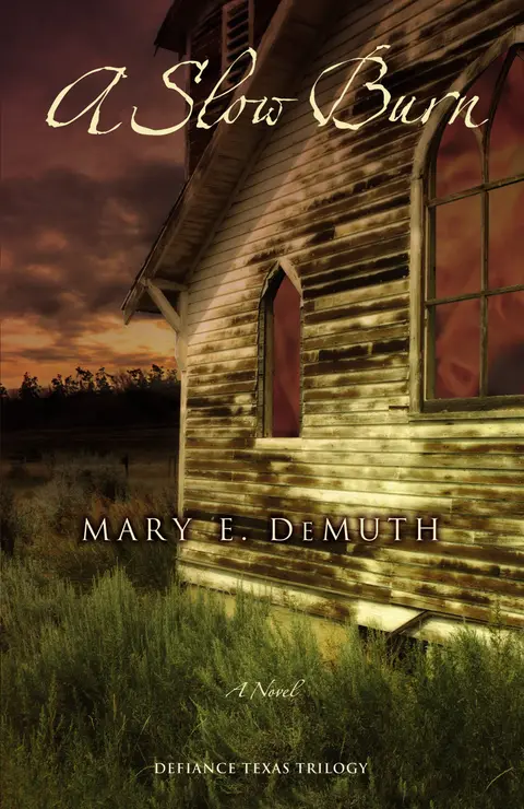 Cover of A Slow Burn