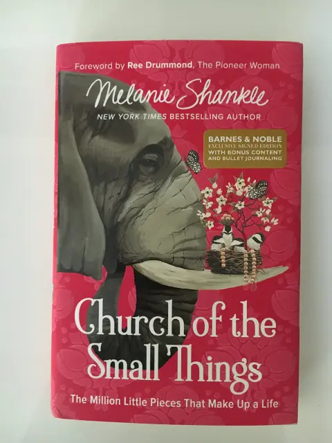Cover of Church of the Small Things