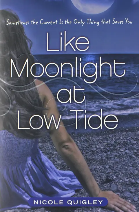 Cover of Like Moonlight at Low Tide
