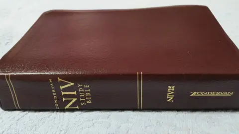 Cover of Zondervan Study Bible