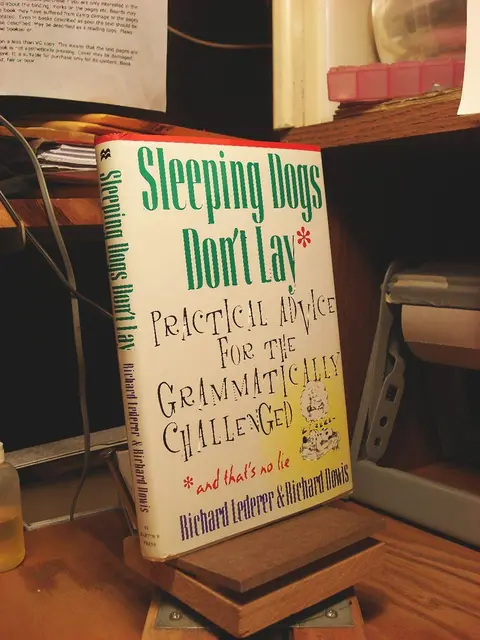 Cover of Sleeping Dogs Don't Lay