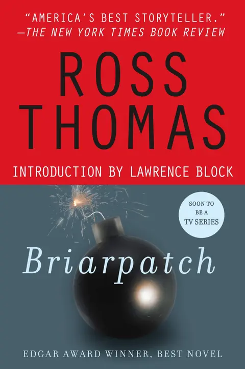 Cover of Briarpatch
