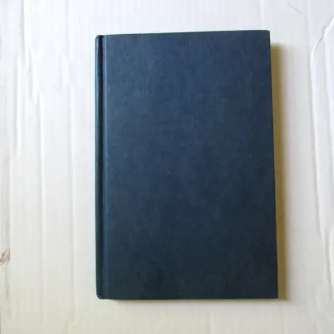 Cover of The Godsend